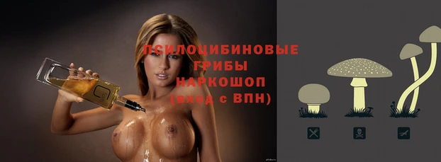 трава Белокуриха