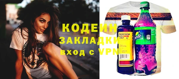 трава Белокуриха