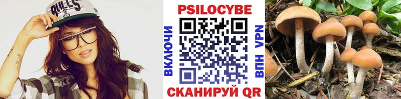 Псилоцибиновые грибы мухоморы Тобольск